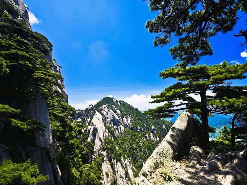 （品質游）黃山、水墨宏村、西遞、屯溪老街雙飛5天團 
