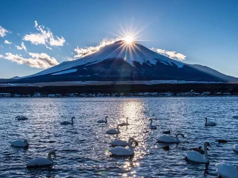 深圳直飛 特惠 日本本州6天5晚游 京阪名三都、兩大名城、平和公園、江之島電車、游湘南海岸